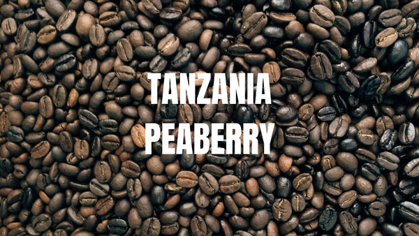 Single-Origin Tanzania Peaberry